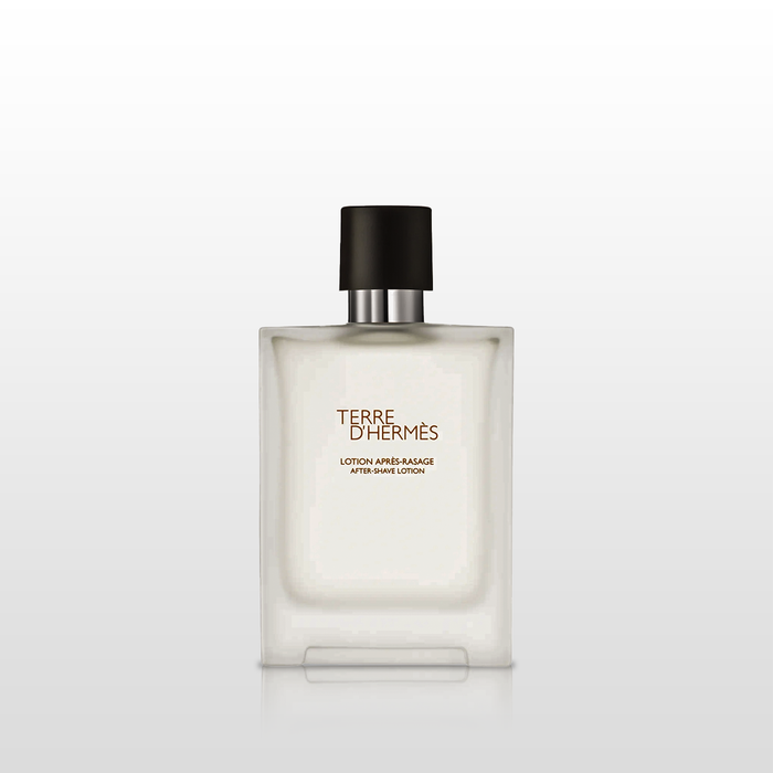 Hermes Terre D'Hermes EDT Spray for Men